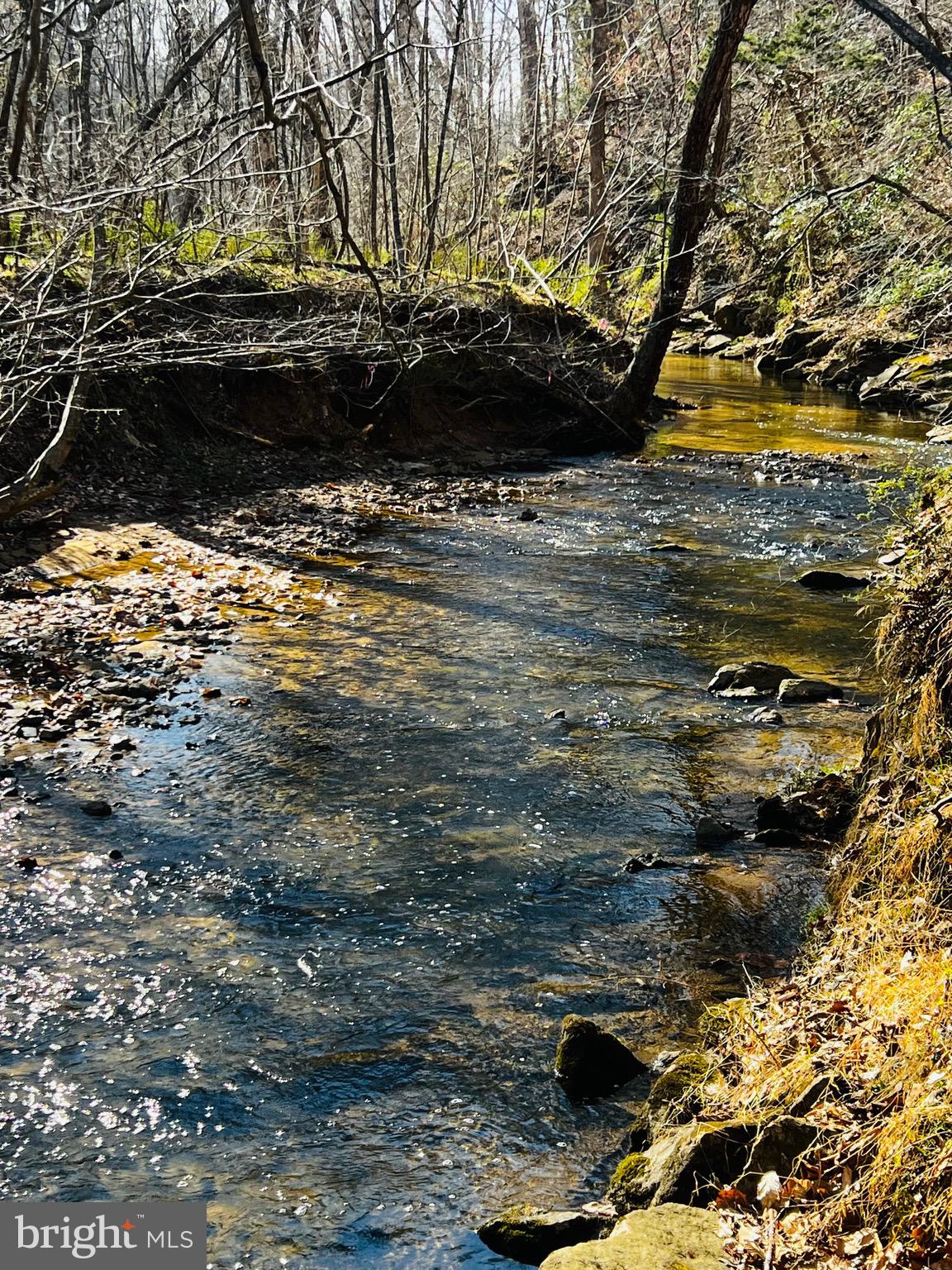 CAMELOT-BROOK HAVEN - Residential