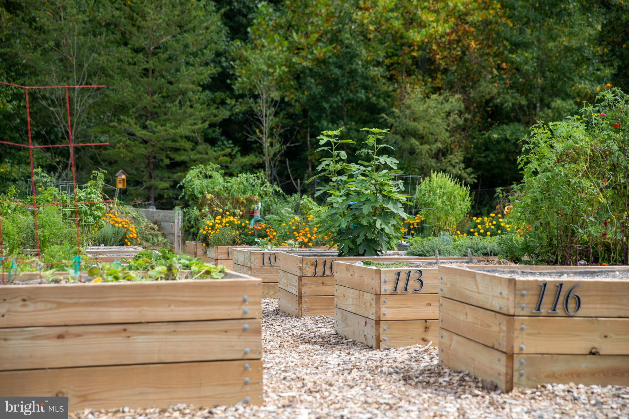 TWO RIVERS - Residential