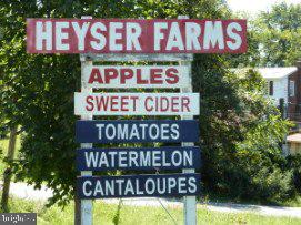 COLESVILLE PARK - Residential