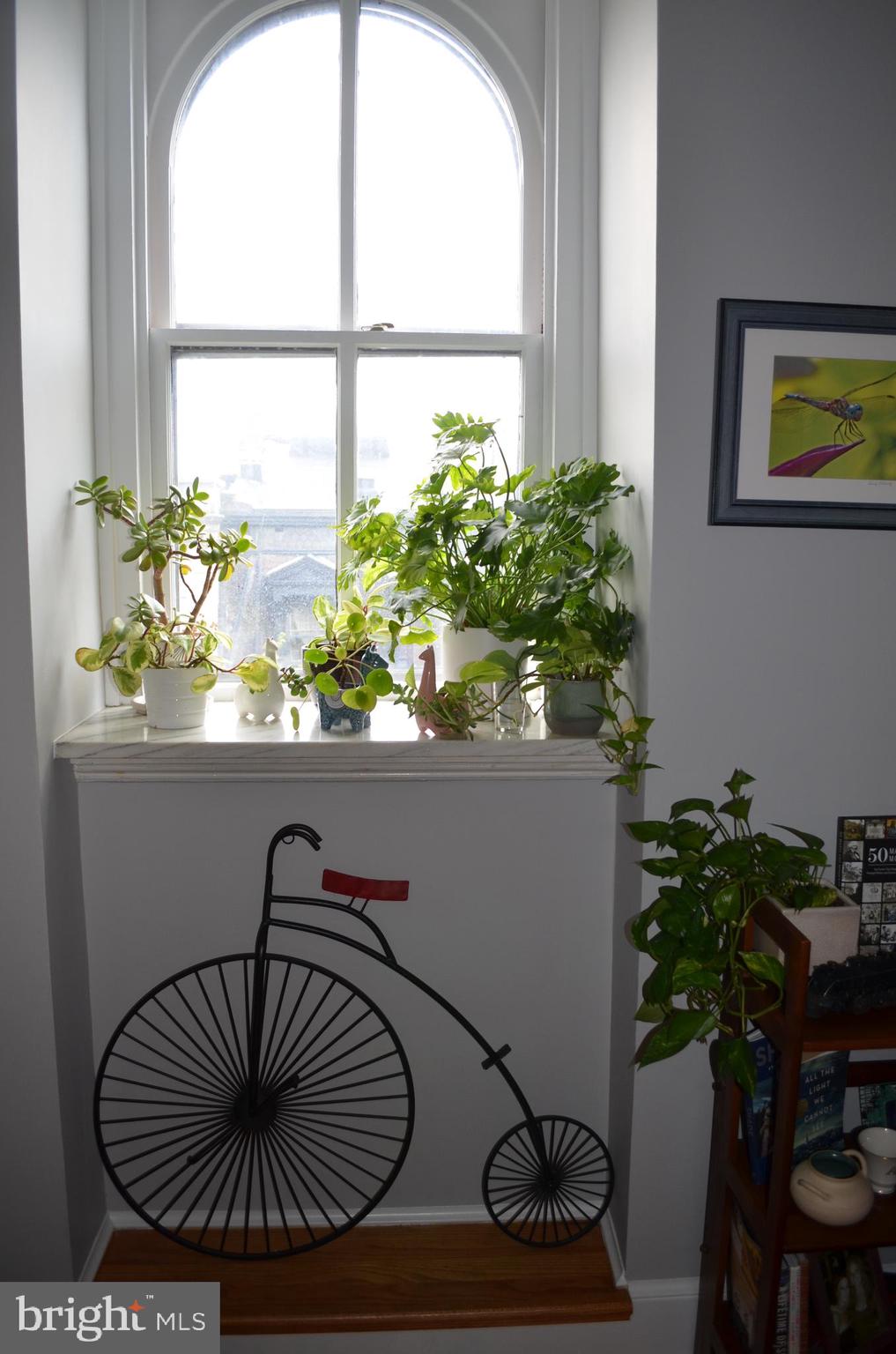 MOUNT VERNON - Residential Income