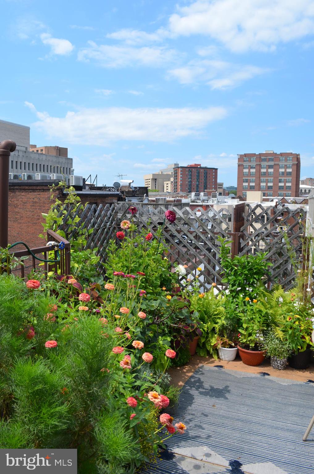 MOUNT VERNON - Residential Income