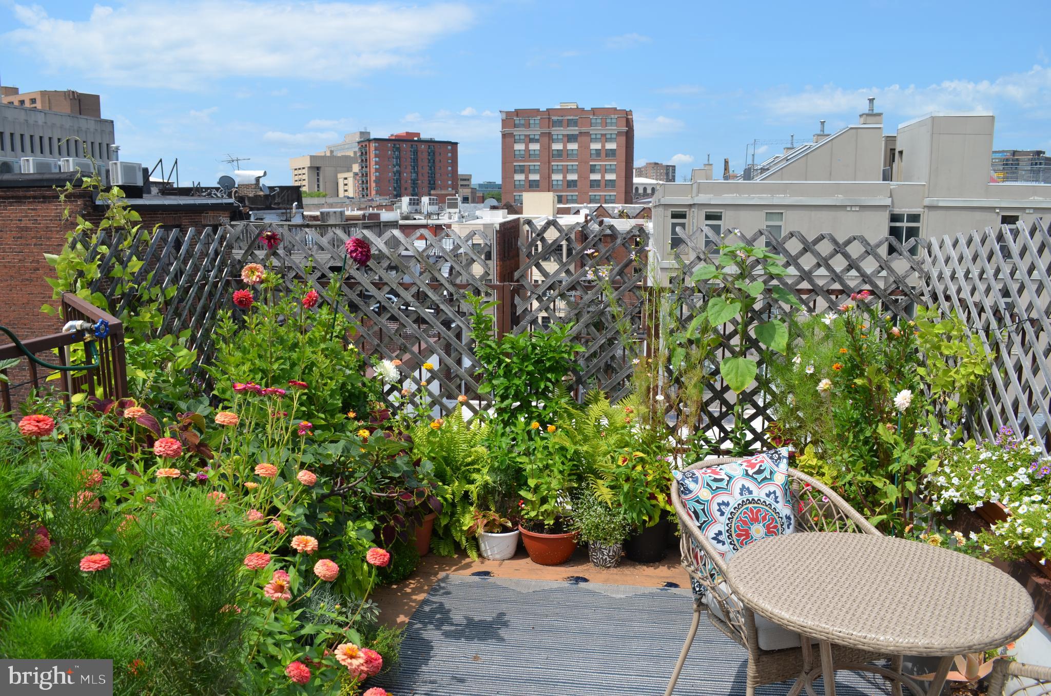 MOUNT VERNON - Residential Income