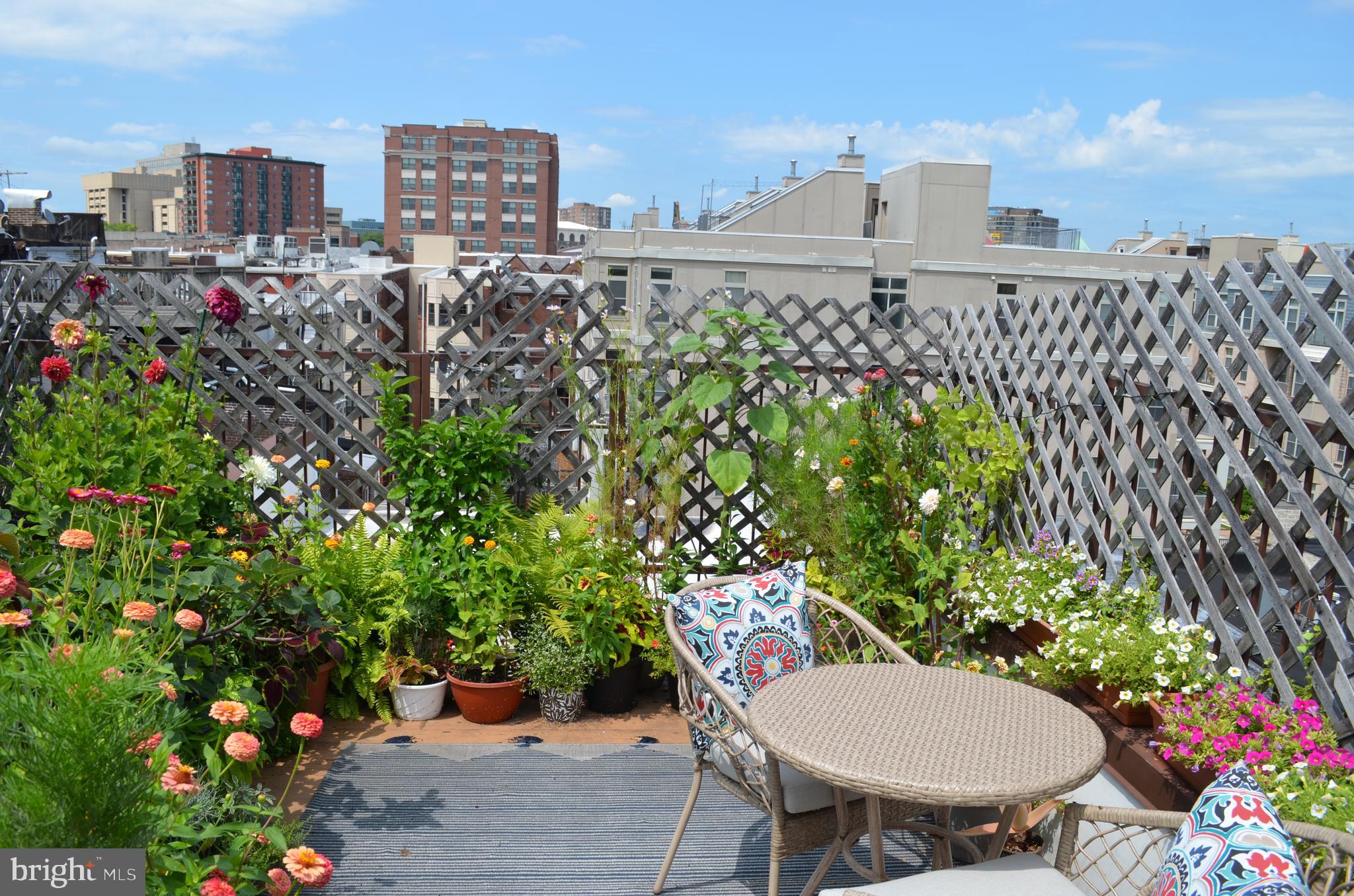 MOUNT VERNON - Residential Income