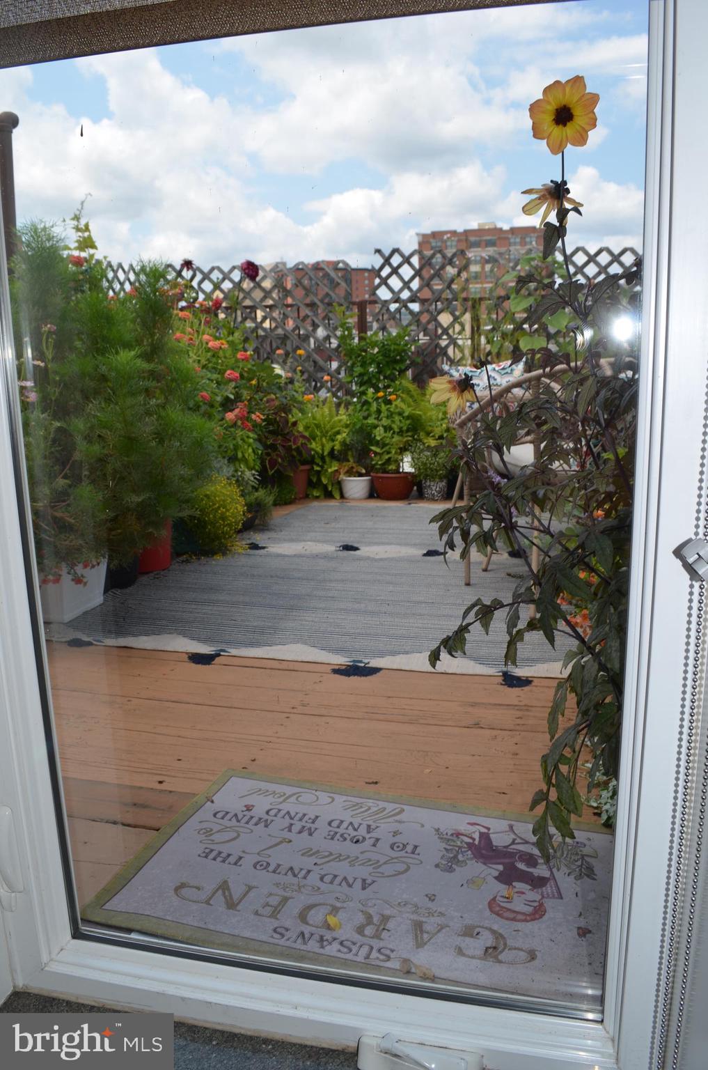 MOUNT VERNON - Residential Income