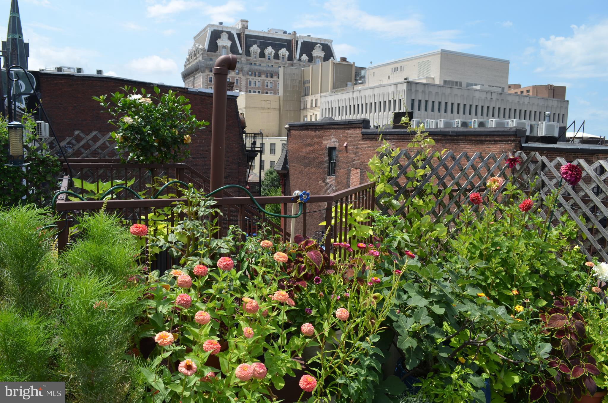 MOUNT VERNON - Residential Income