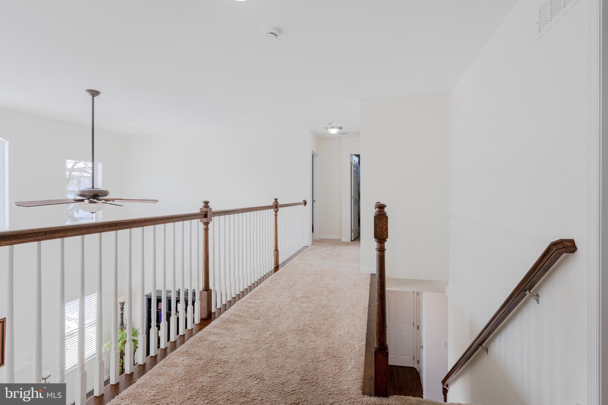 NO DEVELOPEMENT - Residential