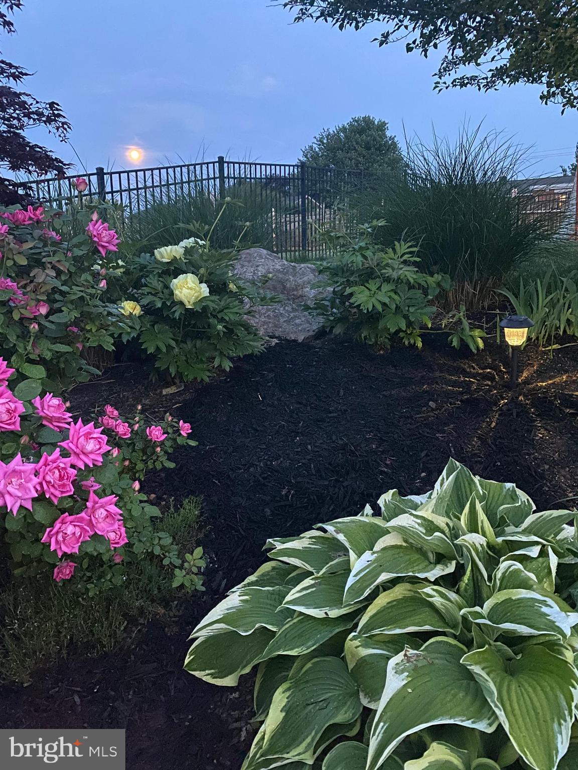 NO DEVELOPEMENT - Residential