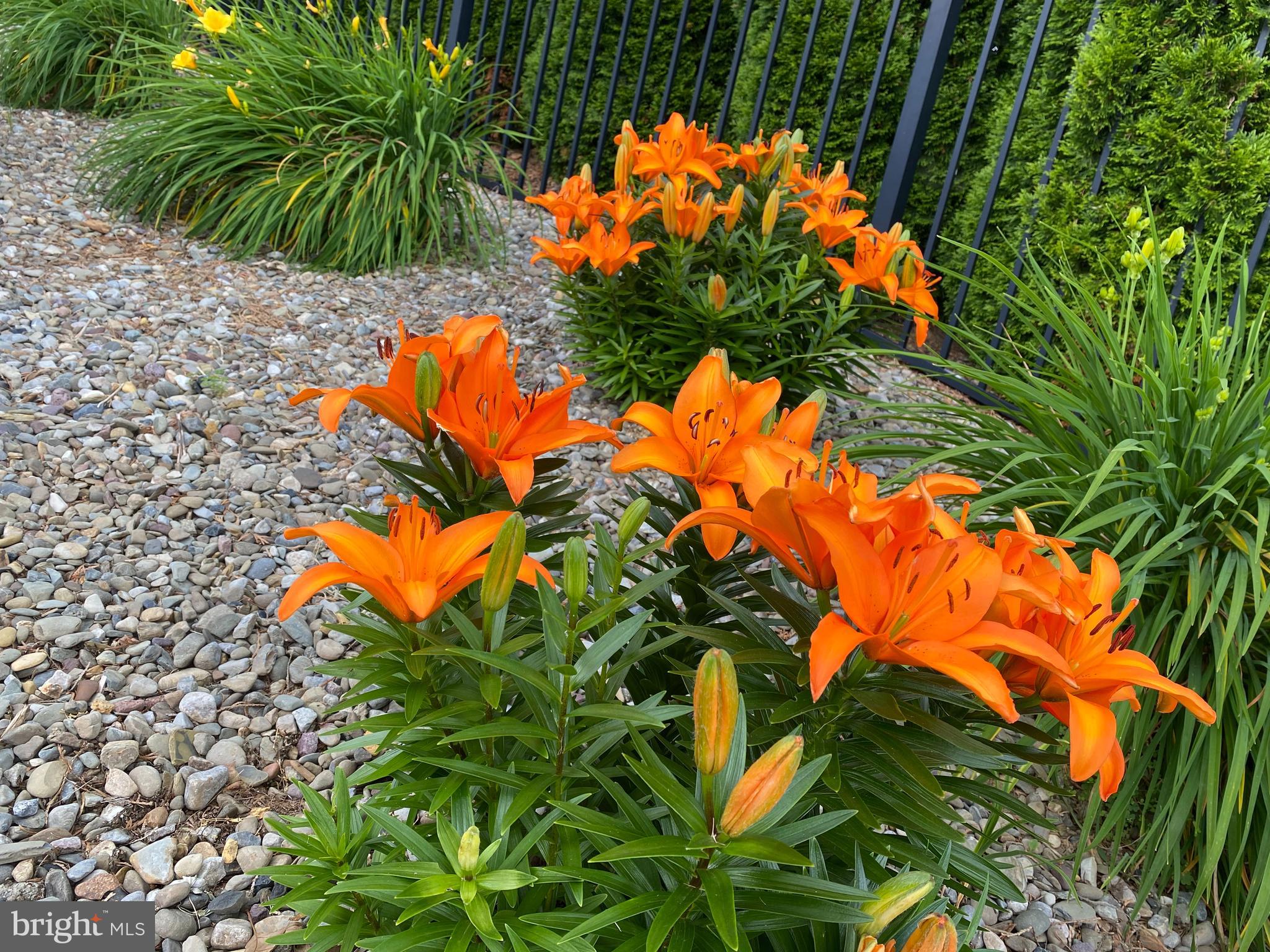 HOPEWELL TWP - Residential