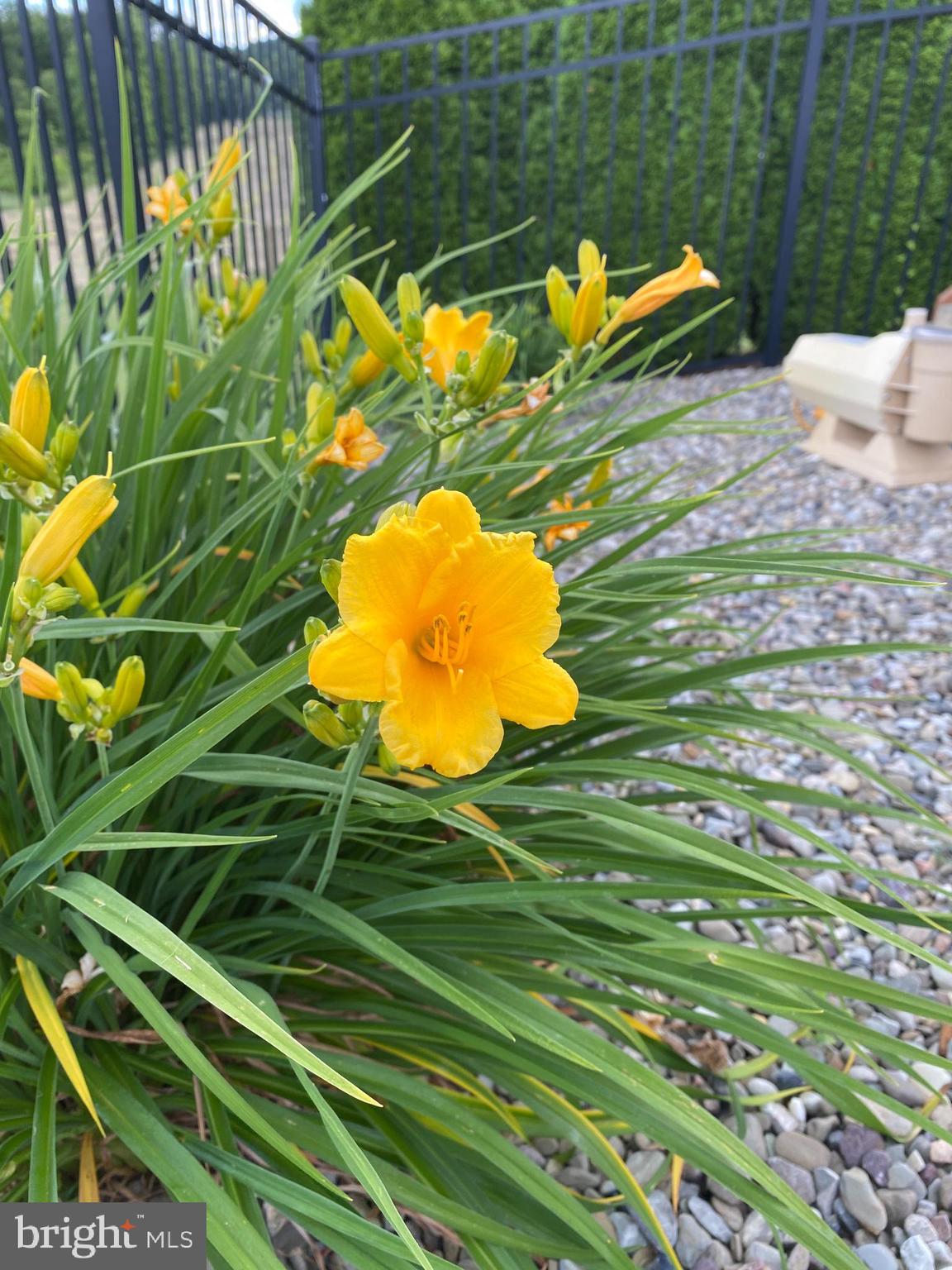 HOPEWELL TWP - Residential