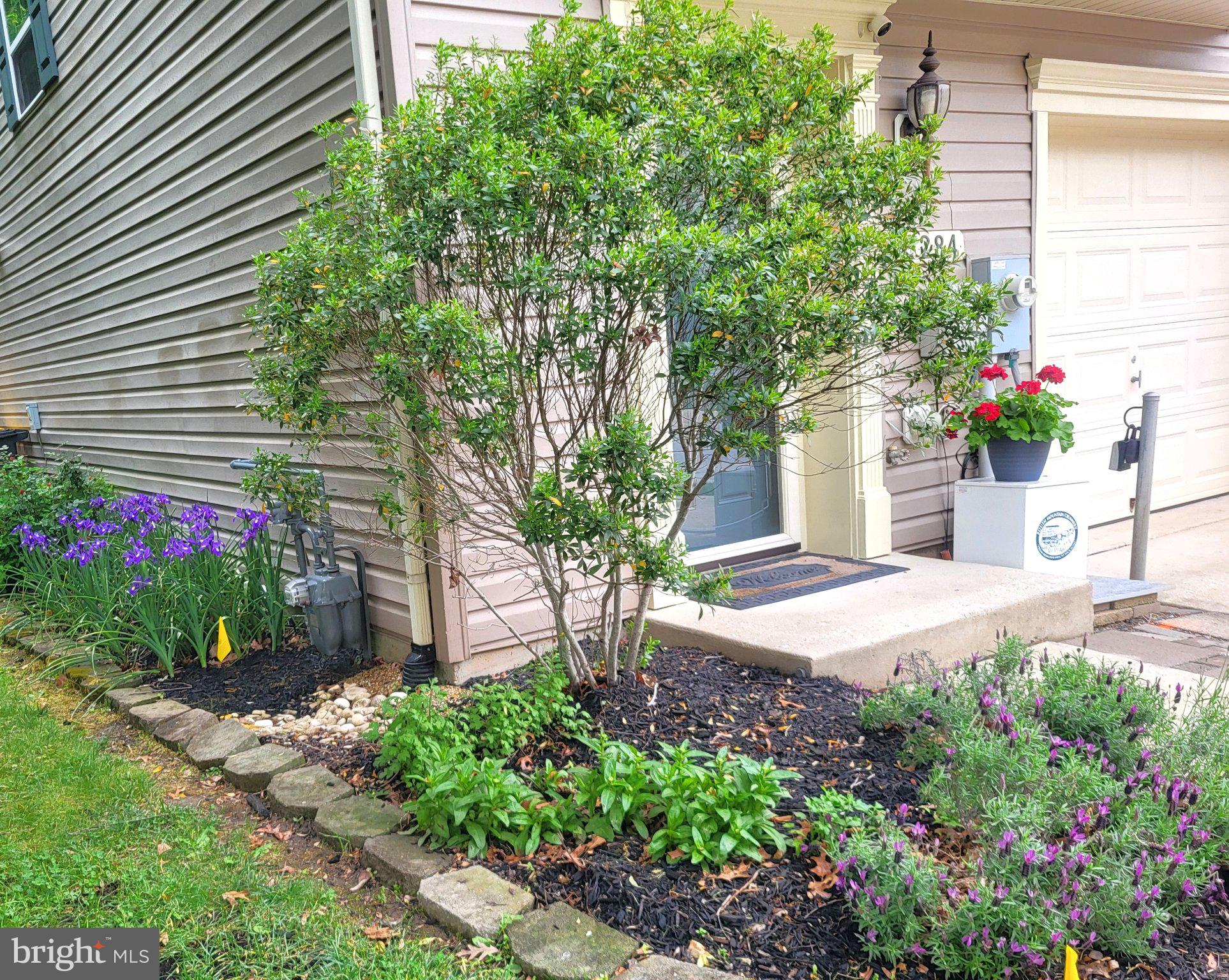 TANYARD SPRINGS - Residential