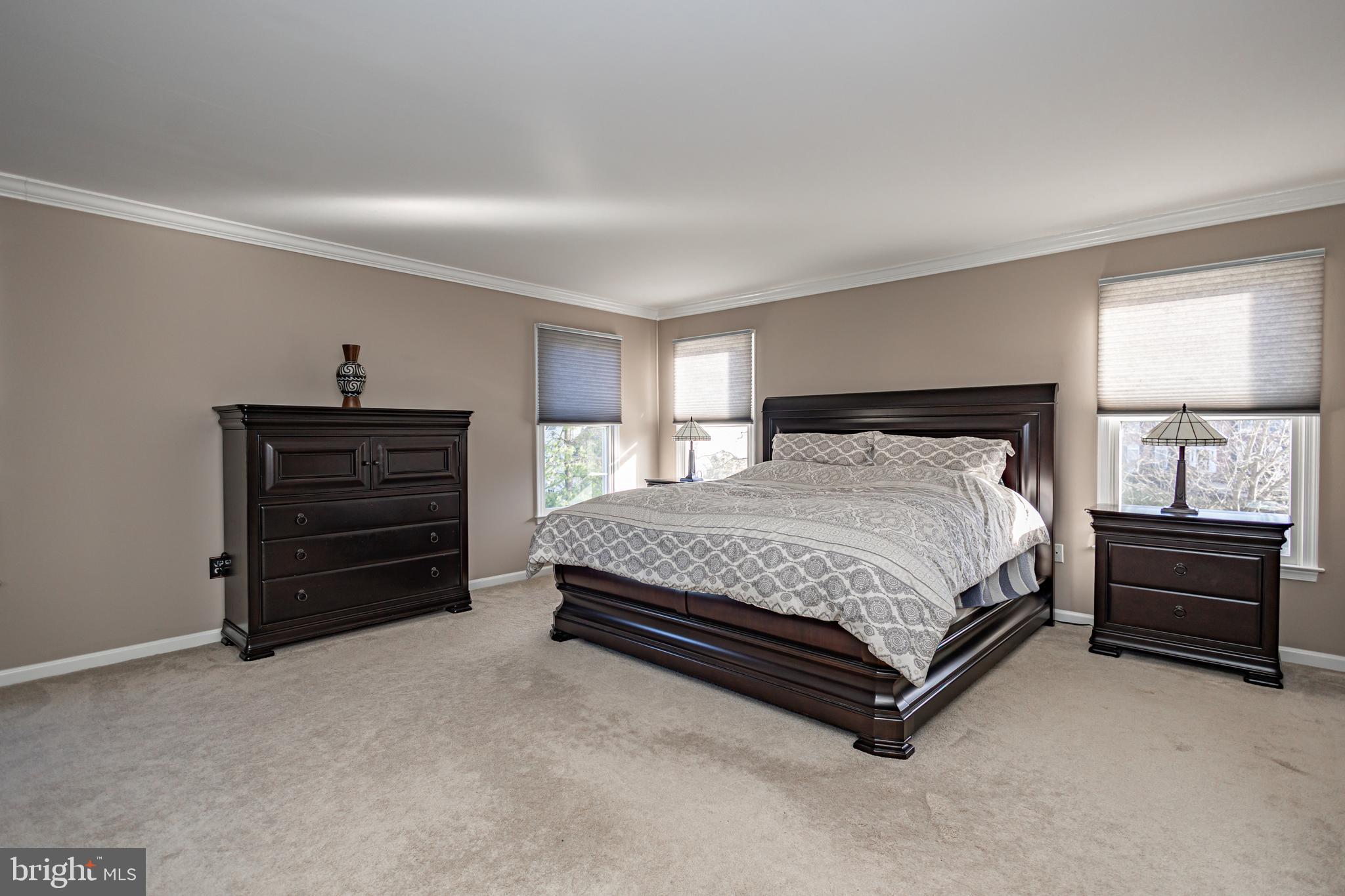 BRIDLE ESTATES - Residential