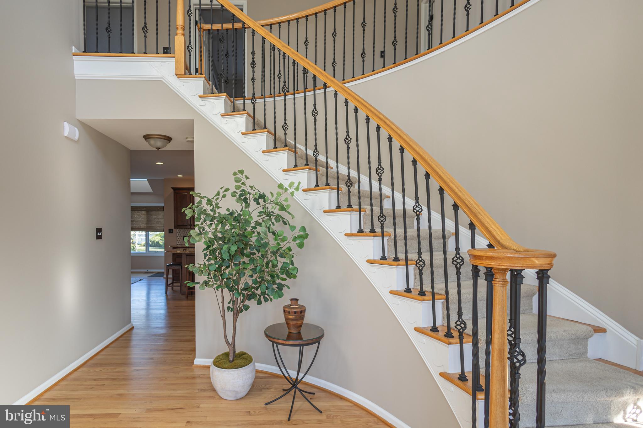 BRIDLE ESTATES - Residential