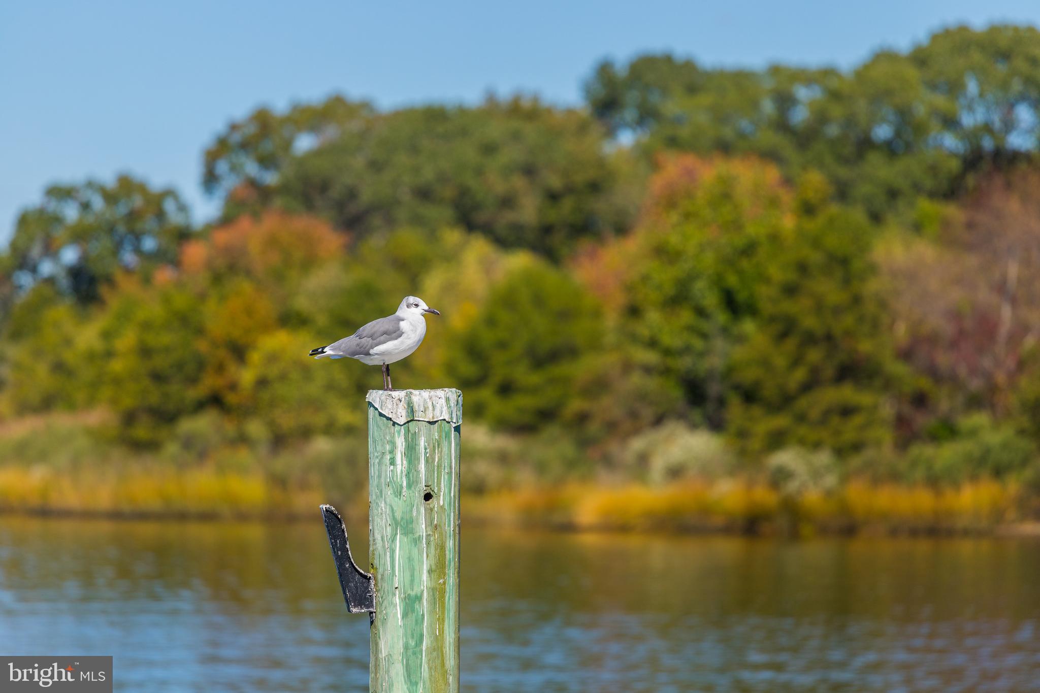 MURRAY POINT - Residential