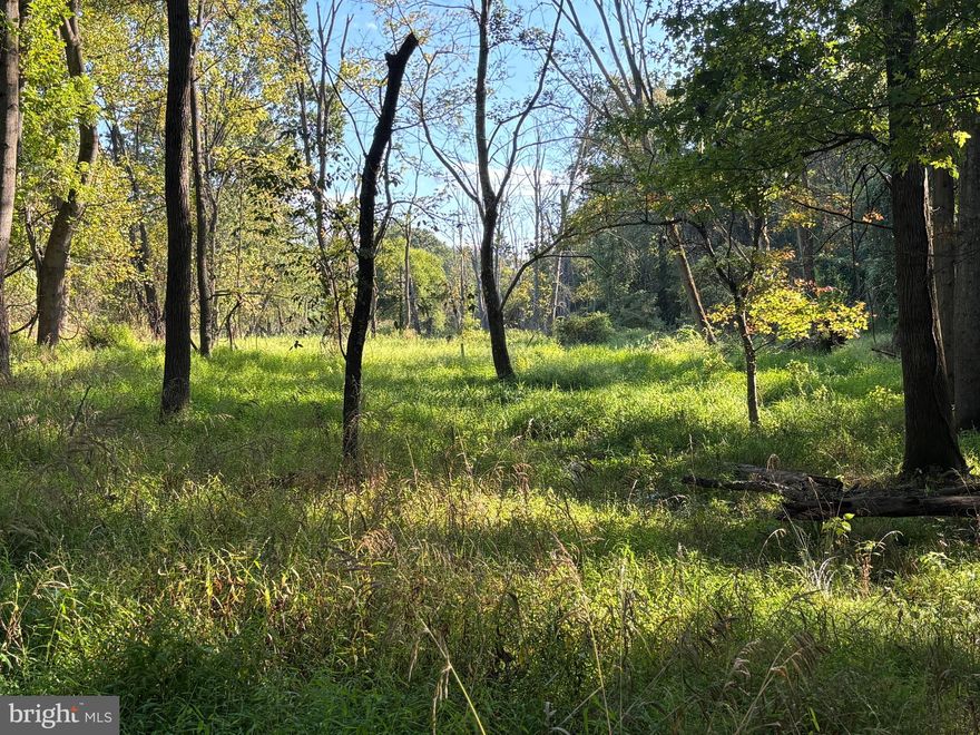 A Once-in-a-Lifetime Emerald Sanctuary: 11.9 Acres in the Heart of Ellicott City
Experience the Unattainable: Your Private Nature Preserve Awaits
Rarely does an opportunity arise to own a sprawling, nearly 12-acre contiguous landscape in one of Howard County’s most prestigious and sought-after zip codes. This is not just a "lot"—it is a vast, verdant sanctuary that offers a front-row seat to the breathtaking beauty of Maryland’s grand nature.
The Topography: A Rare Stream-Valley Floor
This is a true "bottomland" sanctuary. The lot features a classic stream-valley floor topography, providing a level, accessible expanse that is increasingly rare in the rolling hills of Howard County. With elevations ranging up to the 375.0' mark, the land offers a sense of tucked-away seclusion, sitting below the ridge lines to create a quiet, temperature-moderated microclimate perfect for rare flora and local fauna.
The Landscape: A Symphony of Water and Wood
Centered around the gentle, winding waters of the Plumtree Branch stream, this stunning 11.910-acre parcel serves as a private corridor for Maryland’s most majestic wildlife. Imagine owning both banks of a shimmering waterway, where the air is cooler under a canopy of mature hardwoods and the only soundtrack is the rhythmic flow of the stream and the call of the Red-shouldered Hawk.
The Opportunity: Beyond the "Build"
While designated as a non buildable 100-year floodplain and drainage easement—meaning your views will never be obstructed by future development—the possibilities for this land are as vast as the acreage itself:
A Birder’s Paradise: Establish a premier bird-watching station in a critical local habitat.
Legacy Conservation: Become a steward of the land, preserving a vital piece of Ellicott City’s natural heritage.
The Ultimate Garden: Utilize the rich, alluvial soils of the valley floor for expansive hobby gardening or create a world-class native plant arboretum.
Recreational Escape: Your own private grounds for morning yoga by the water, weekend picnicking, or a serene space for plein air painting and photography.
The "Buffer" of a Lifetime: For neighboring homeowners, this is the ultimate opportunity to control your "viewshed" and ensure your backyard remains a lush, private forest forever.
Location, Location, Legacy
Accessible via the quiet, established enclave of Joey Drive, you are minutes from the historic charm of Old Town Ellicott City, yet you will feel worlds away.
An Unbeatable Value
Land of this scale in Ellicott City is typically reserved for multi-million dollar estates. Because this lot is preserved for nature and drainage, it is being offered at an unbelievable price point that makes owning a double-digit acre estate a reality.
Don't just buy land—buy a legacy. Secure your 12-acre slice of Maryland’s "Green Gold" today.