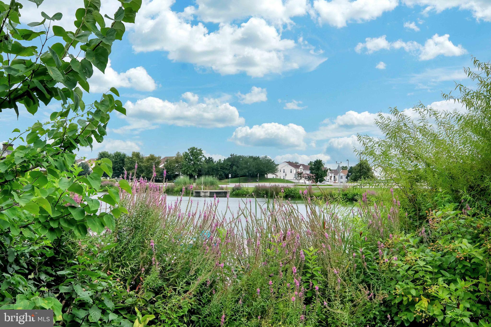 ASHBURN VILLAGE - Residential