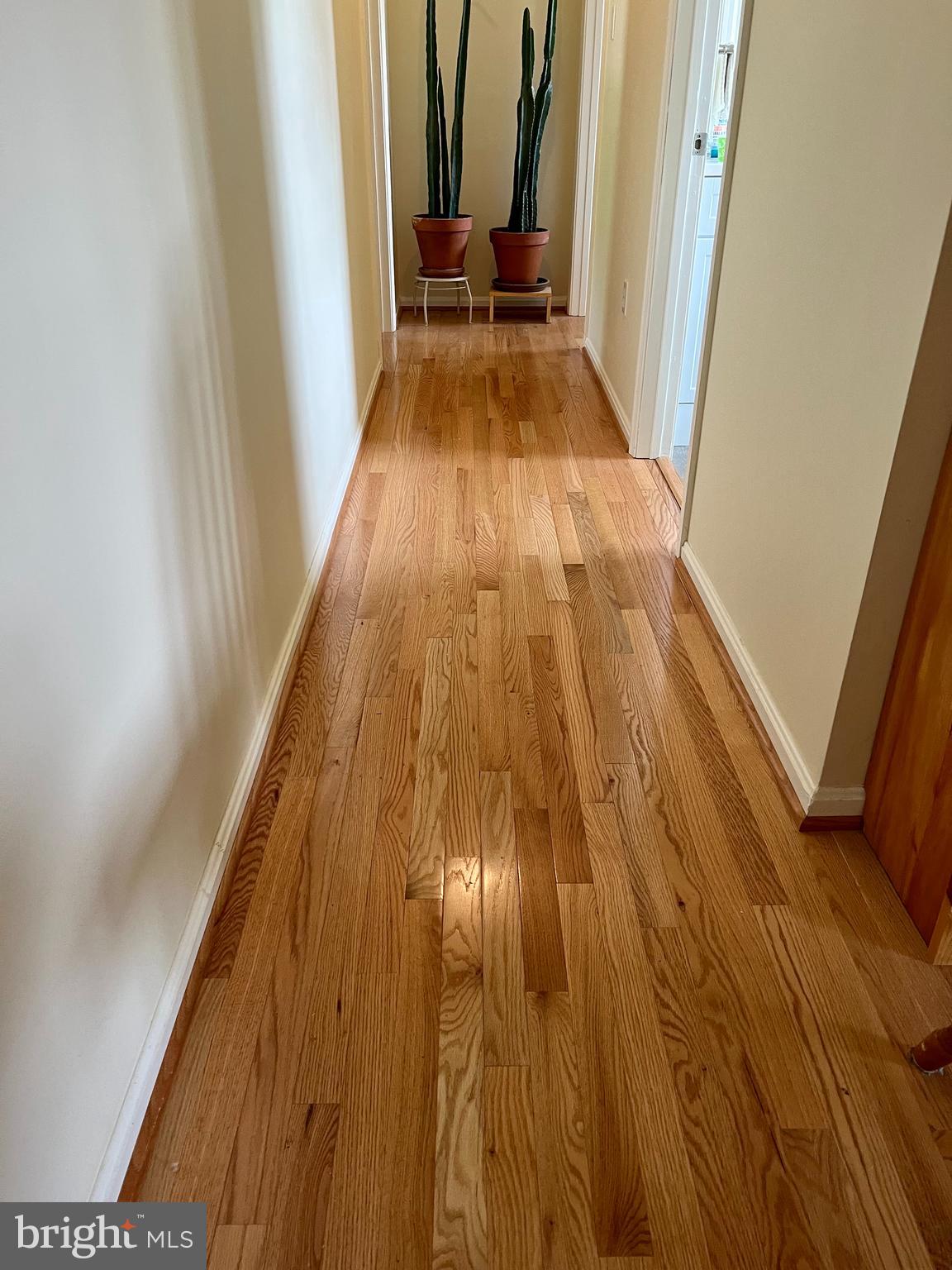 BENEDICT - Residential