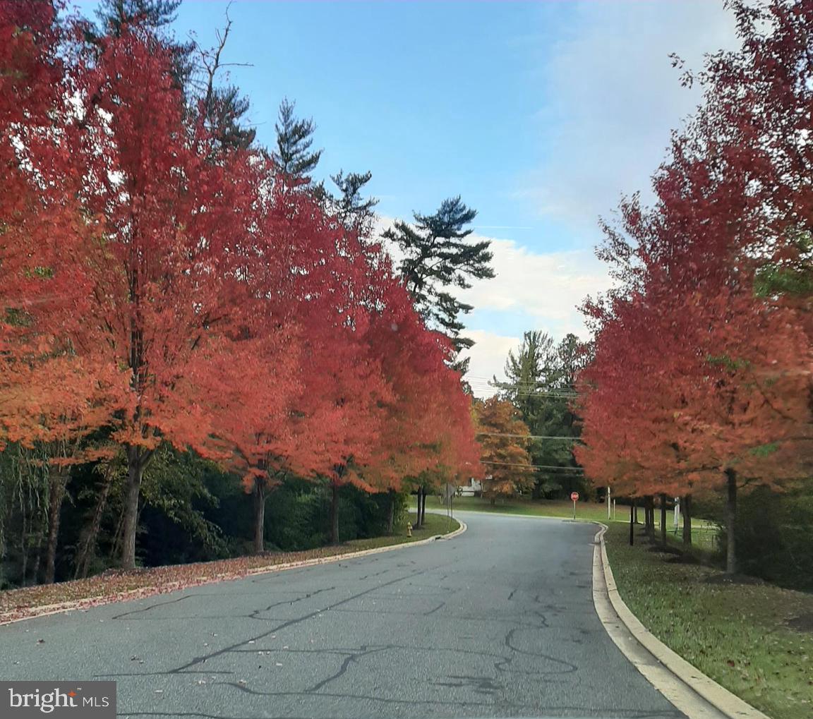 AUTUMN RUN - Residential Lease