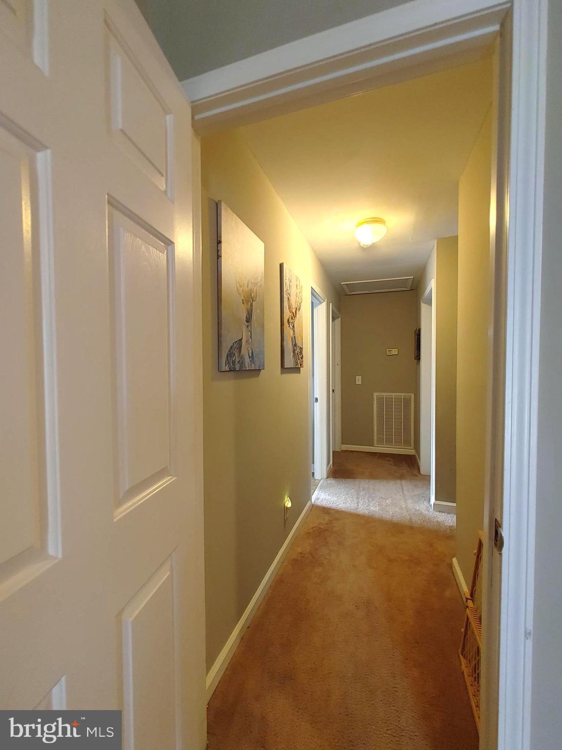 CABIN POINT - Residential