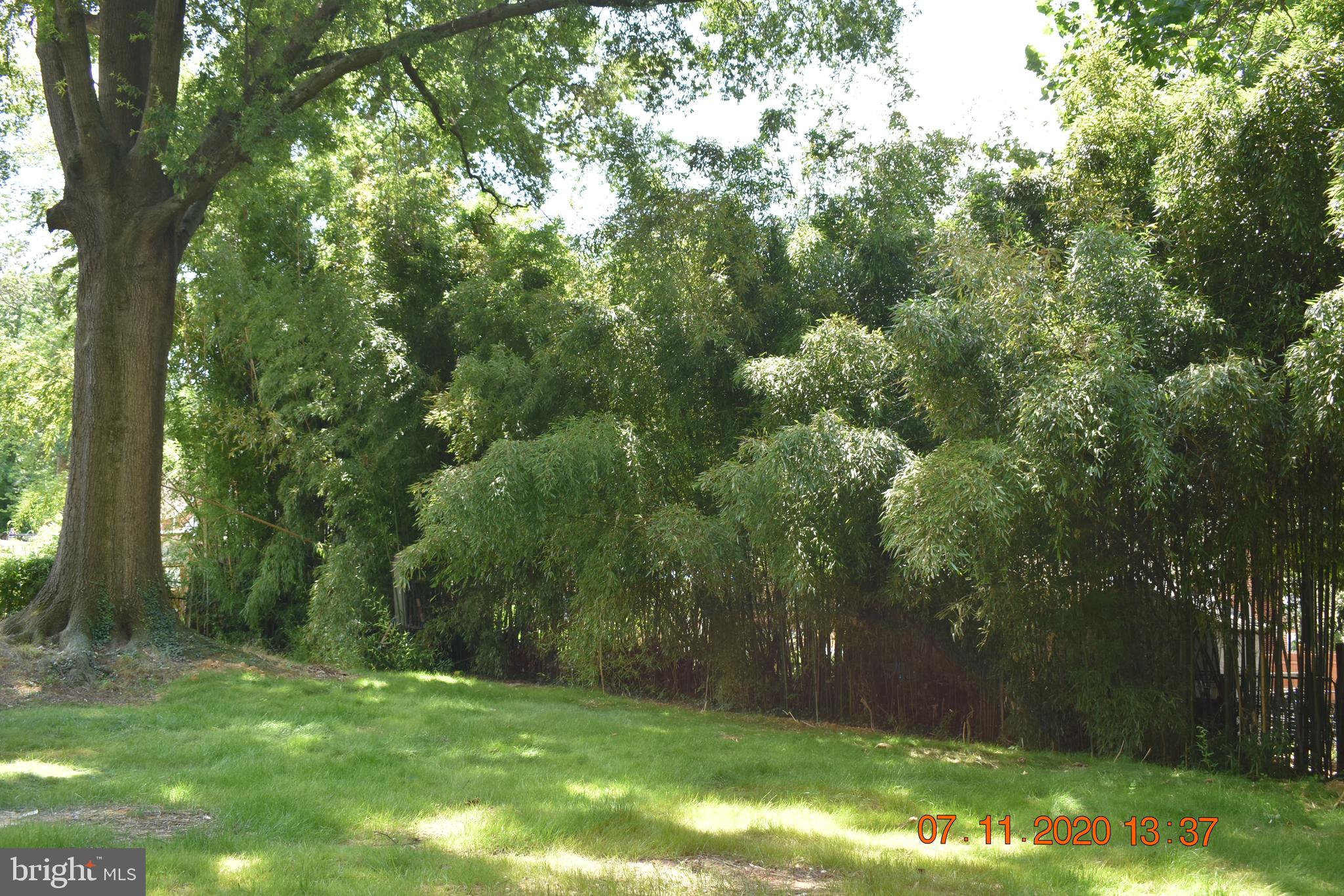 PINEWOOD - Residential