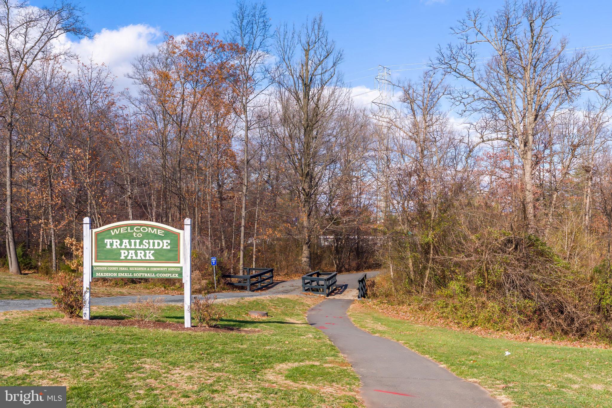 BELMONT GREENE - Residential