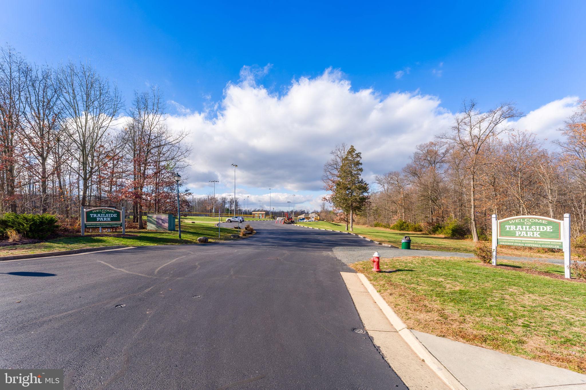 BELMONT GREENE - Residential