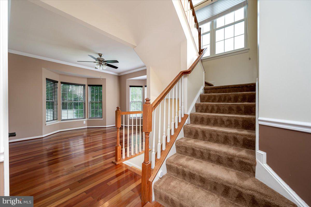 SHAMROCK MANOR - Residential