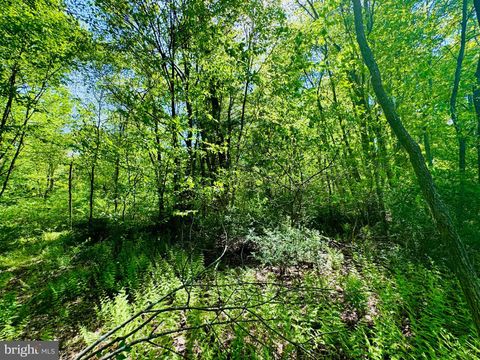 Vacant Land For Sale - LOT: 43 Paradise Point<br/> JAMES CREEK, PA 16657
