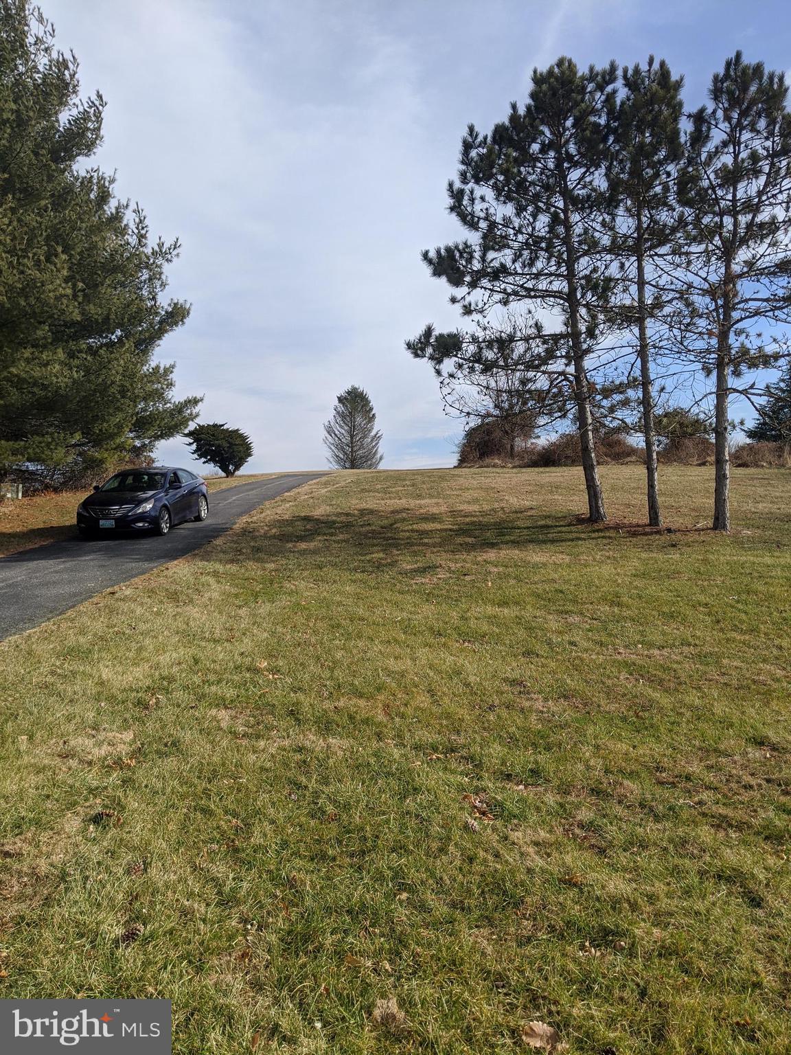 WILSONS CHOICE - Residential