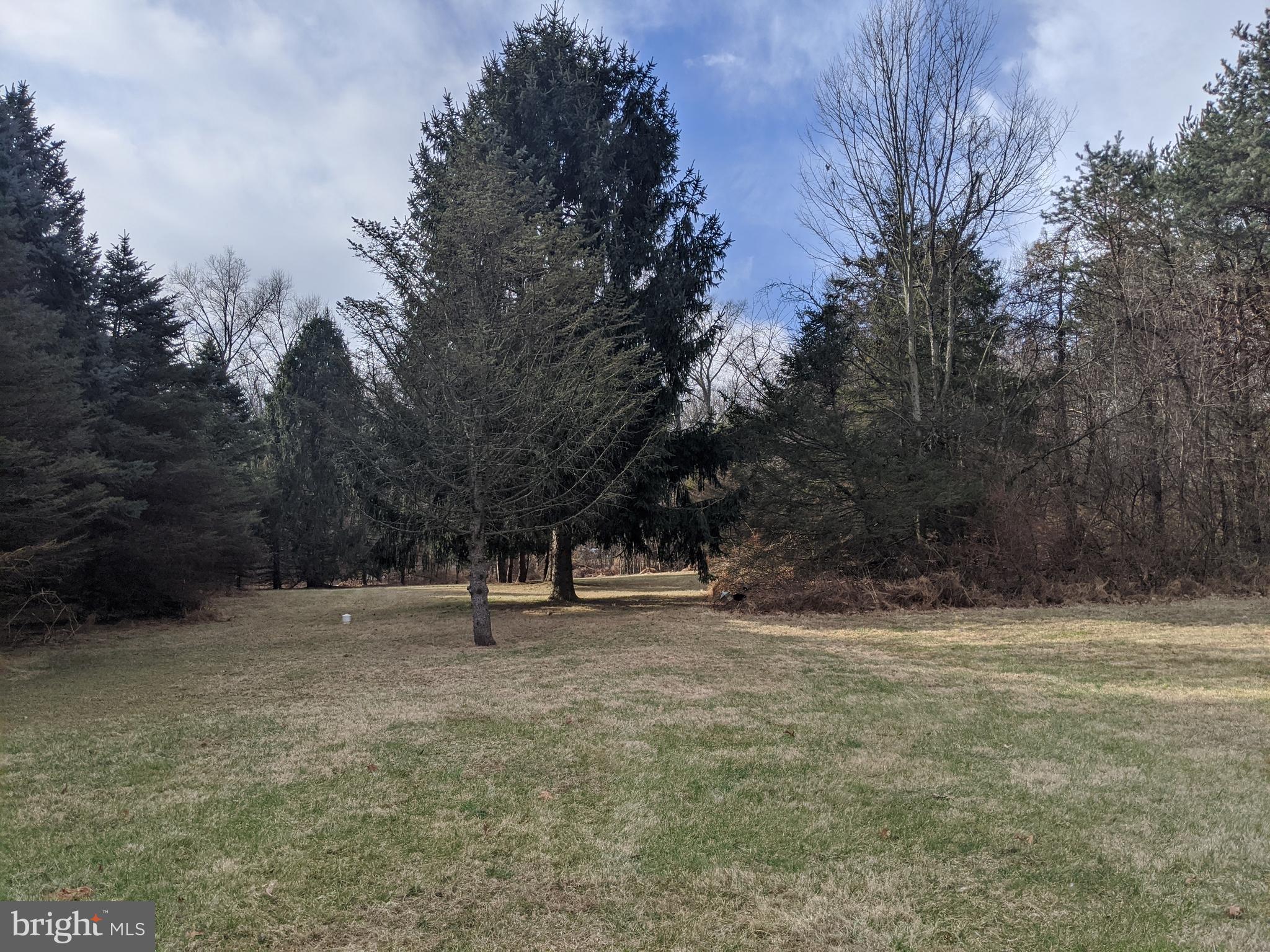 WILSONS CHOICE - Residential