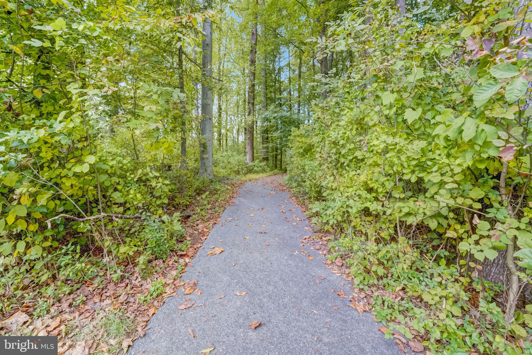 WILSONS GROVE - Residential