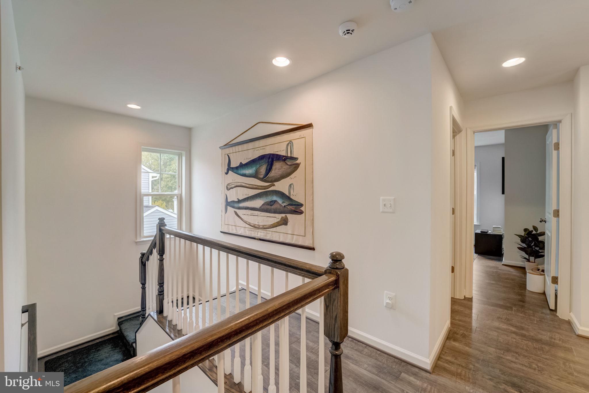 WILSONS GROVE - Residential