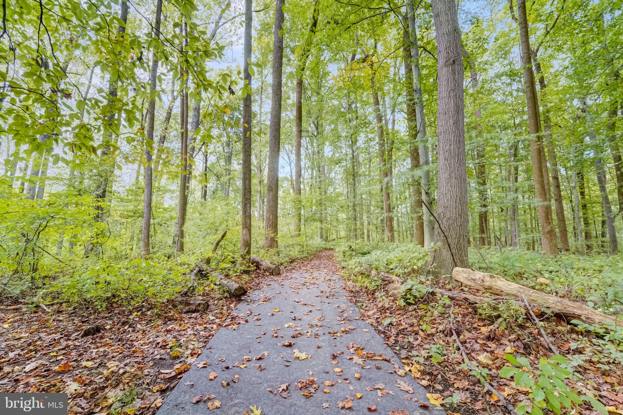 WILSONS GROVE - Residential