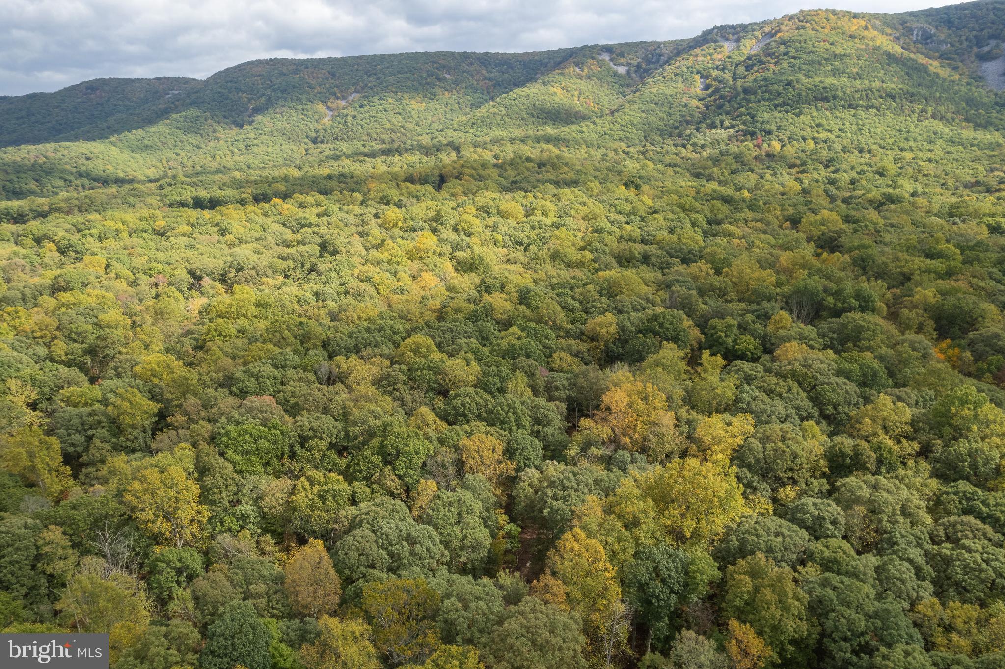 CAPON RIVER VISTA - Residential