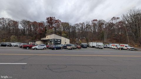 11489 ST RT 61 MOUNT CARMEL PA 17851