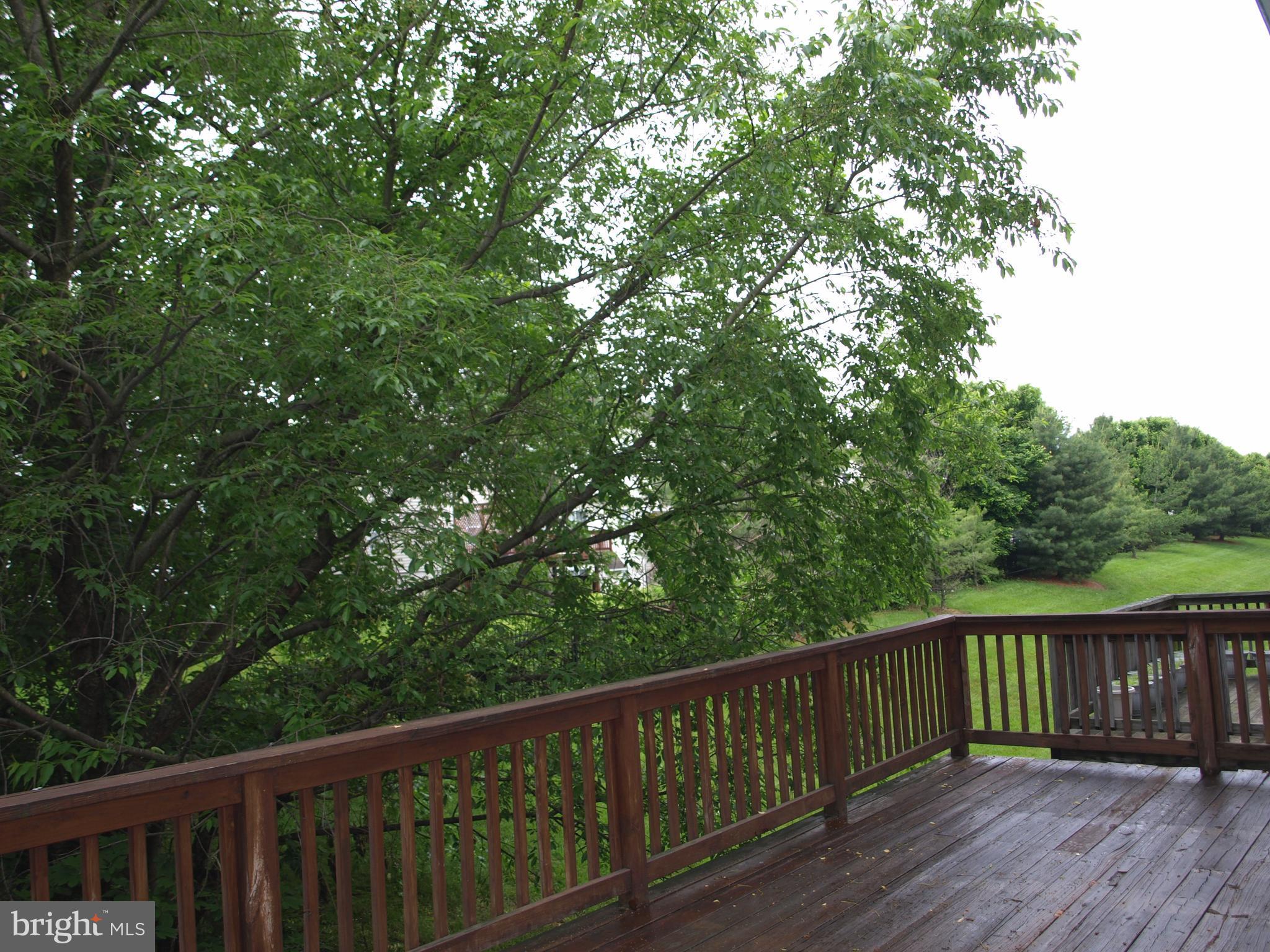 EMERALD KNOLLS - Residential Lease