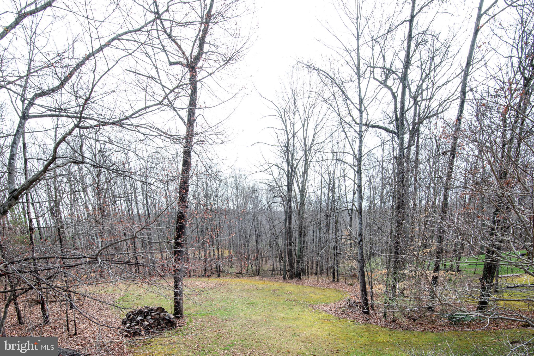 WILDWOOD FOREST - Residential