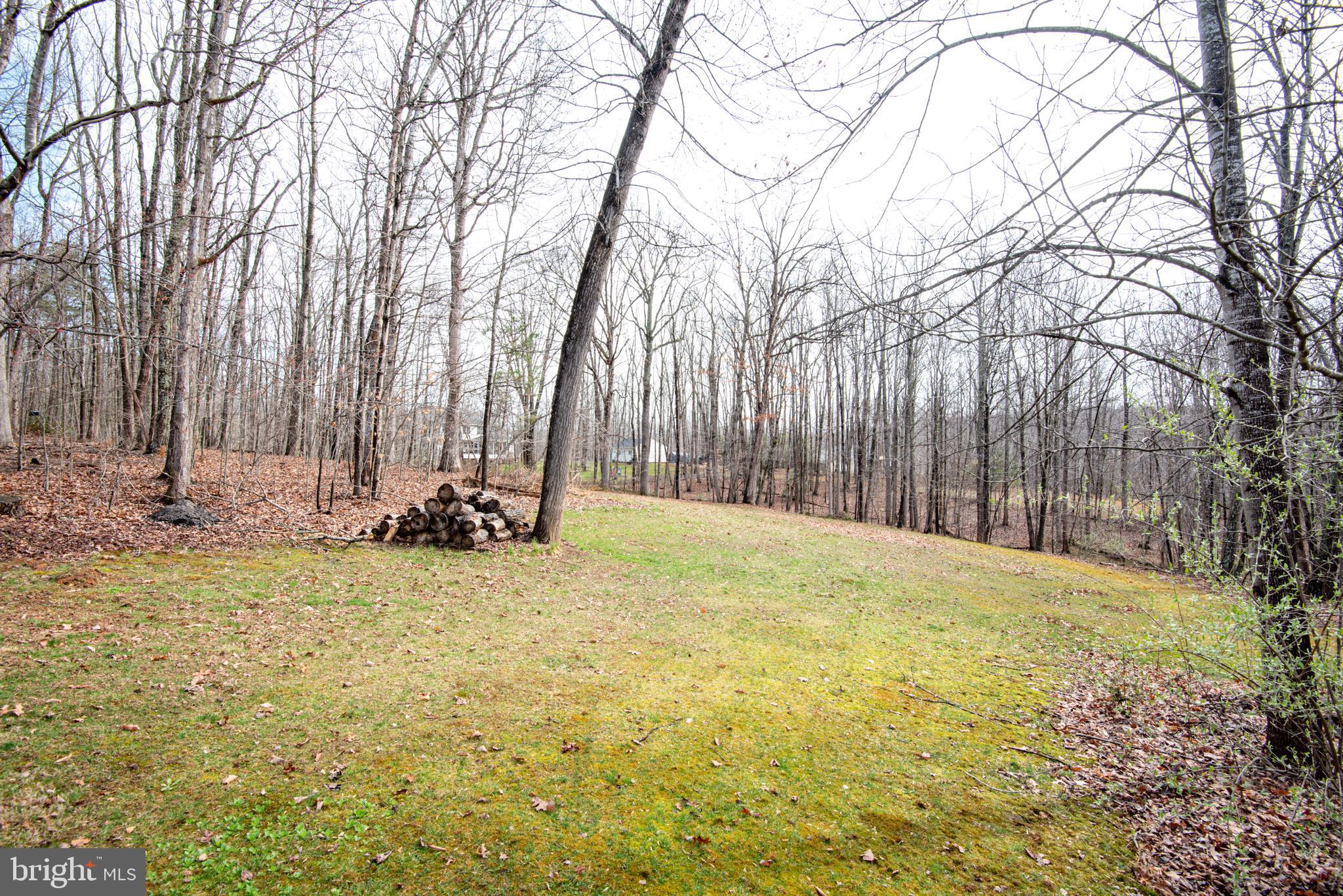 WILDWOOD FOREST - Residential