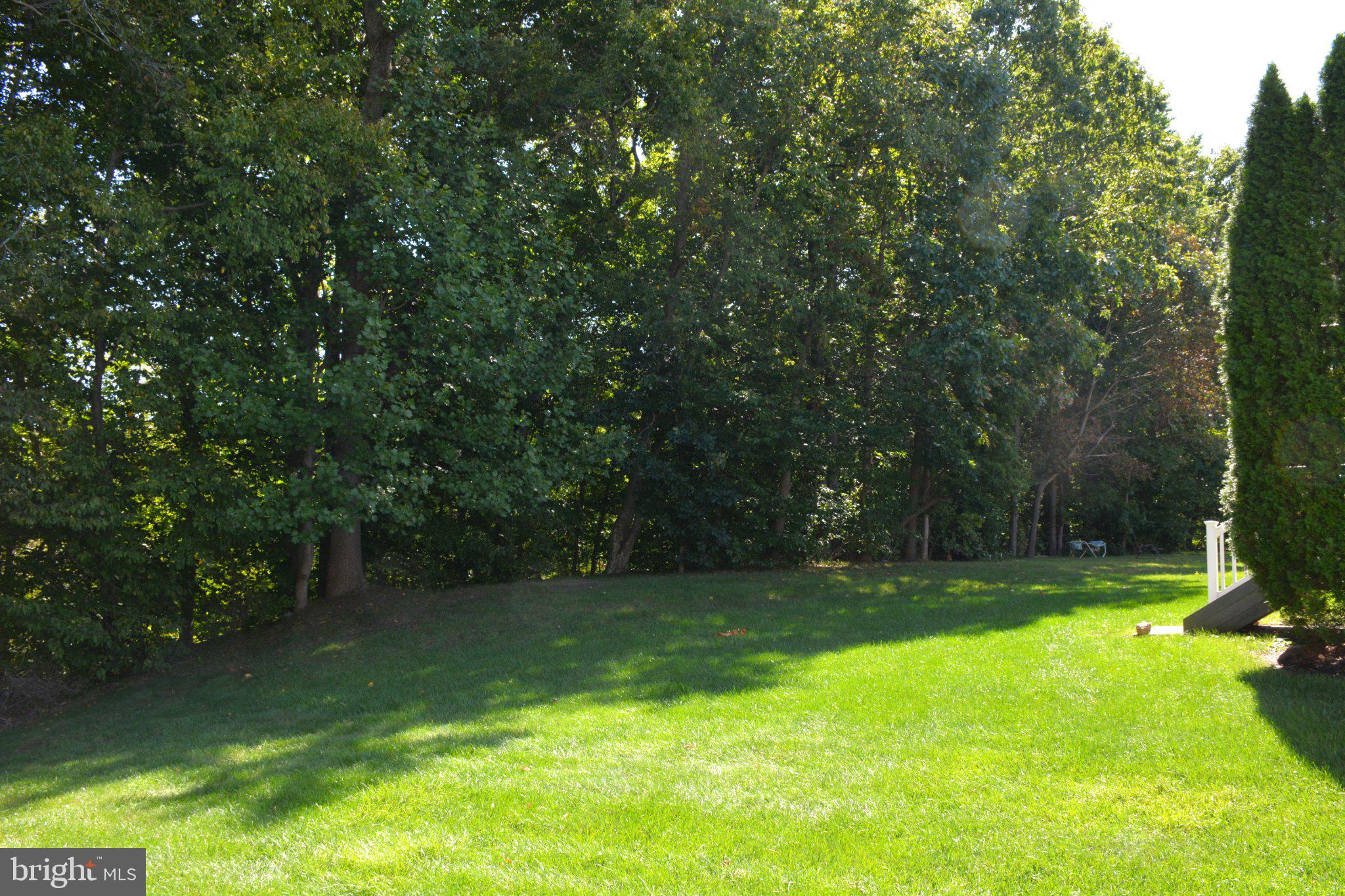 770 CHICKORY TRAIL
