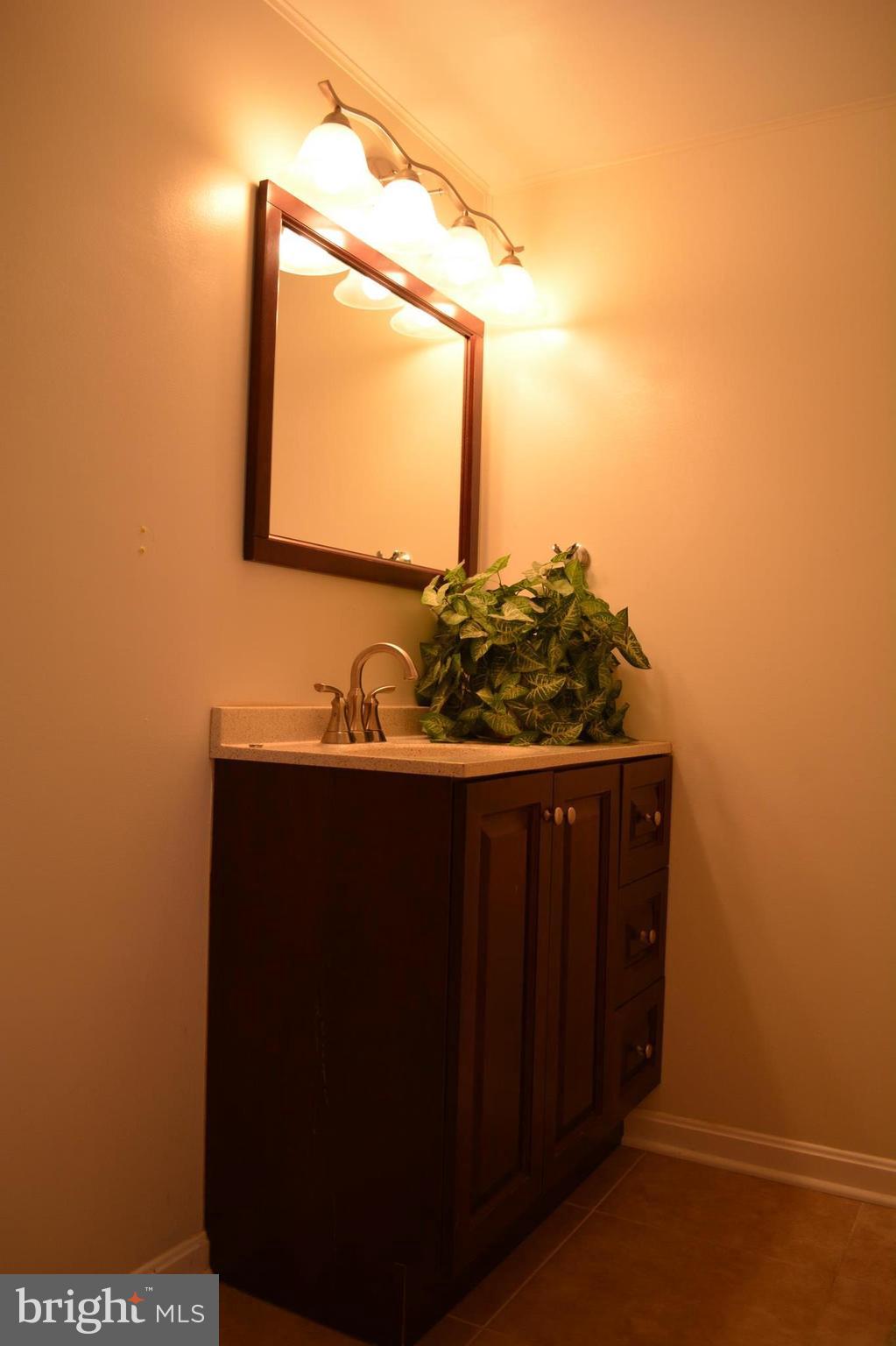 CHESTNUT HILL COVE - Residential