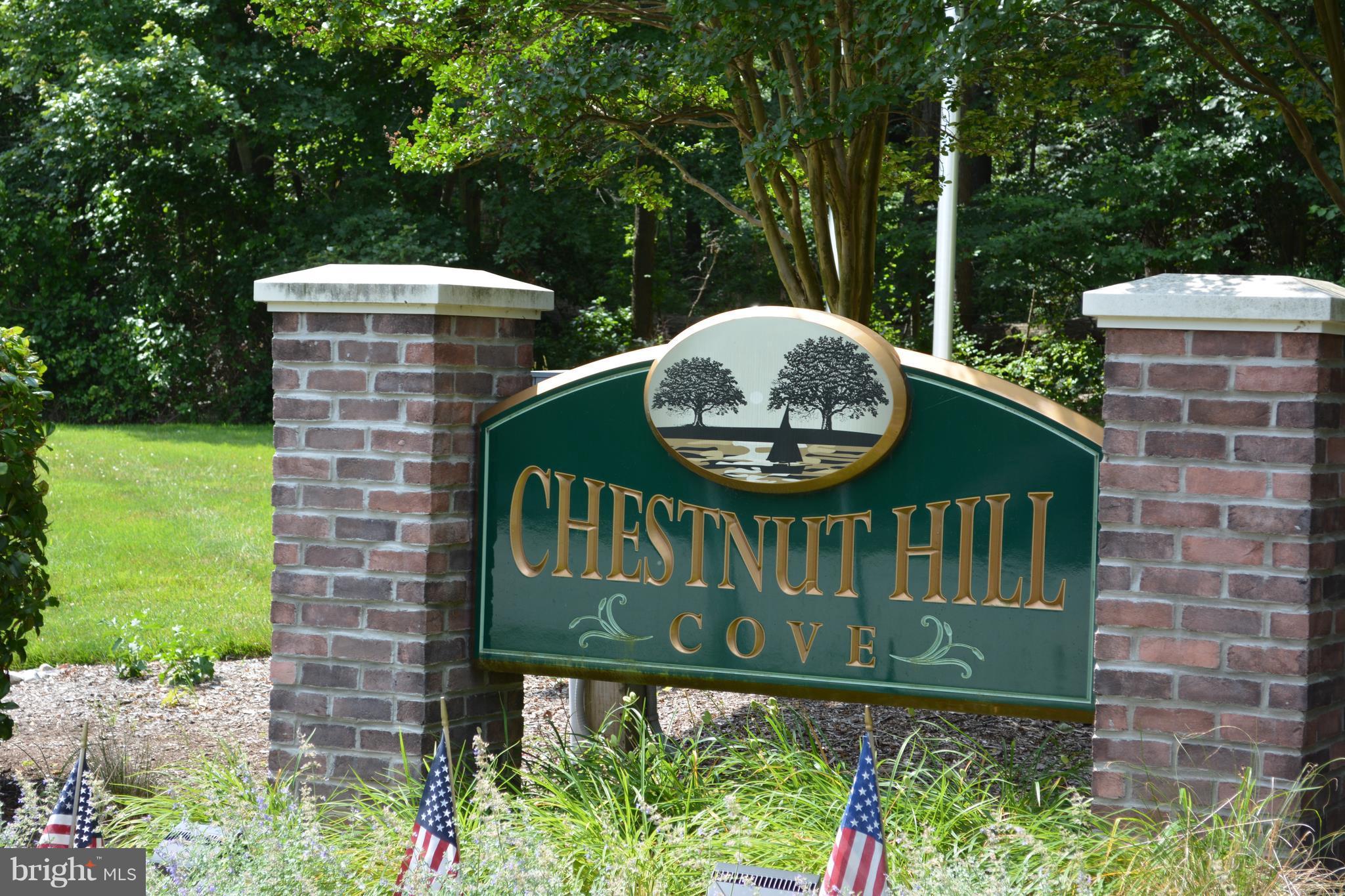 CHESTNUT HILL COVE - Residential
