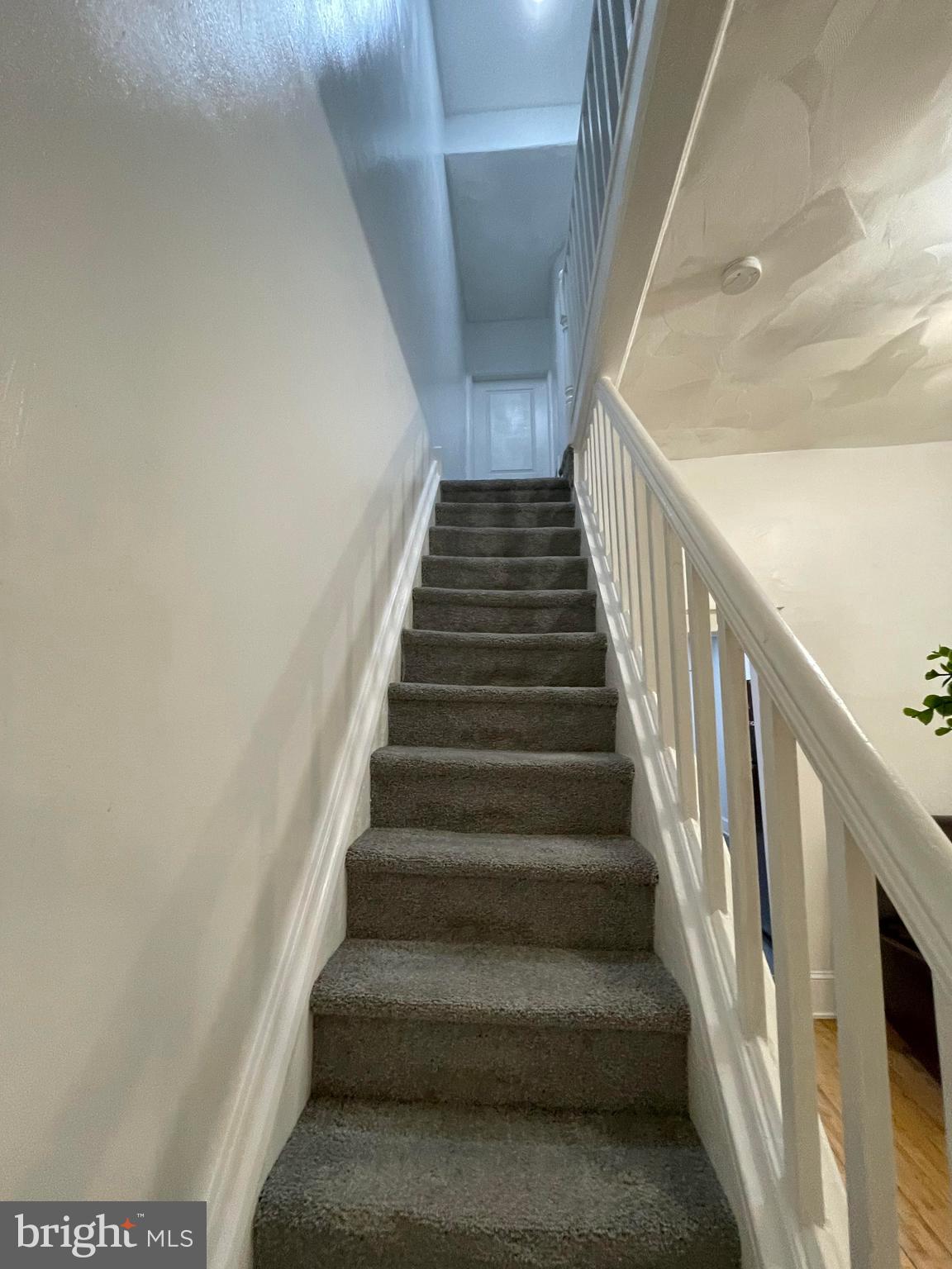 STRAWBERRY MANSION - Residential