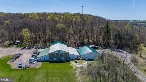 326 ZION SCHOOL ROAD GRANTSVILLE MD 21536