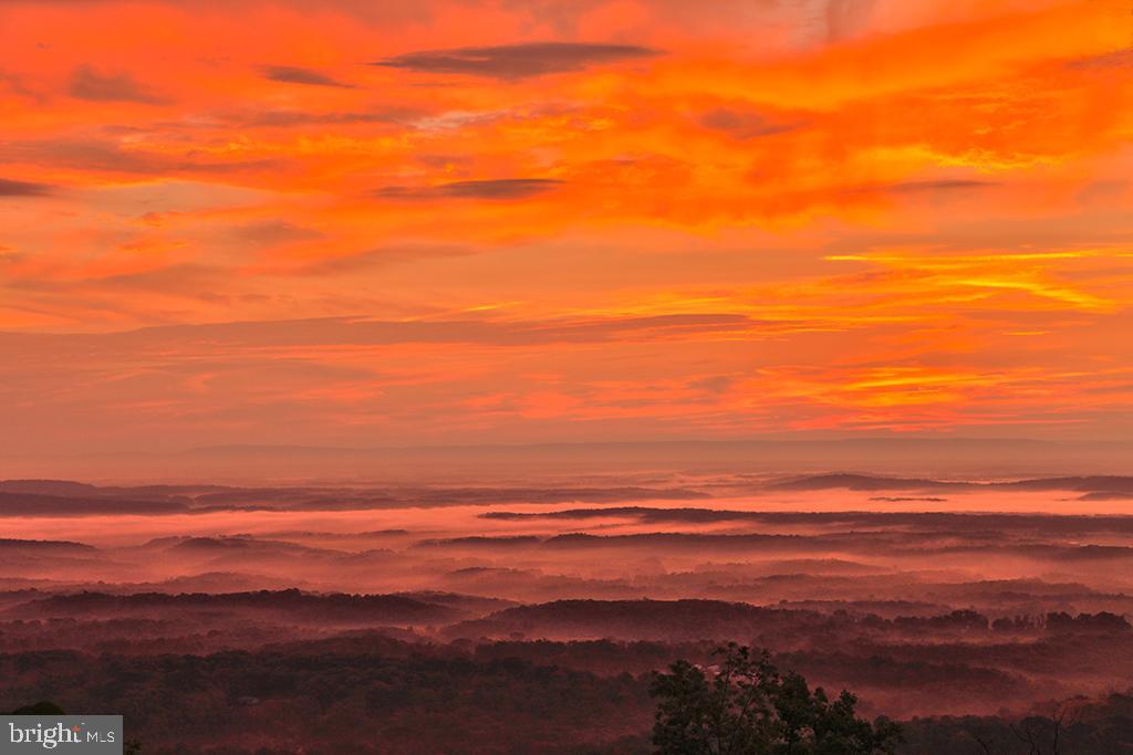 SPRUCE PINE HOLLOW - Residential