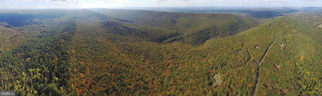 SPRUCE PINE HOLLOW - Residential