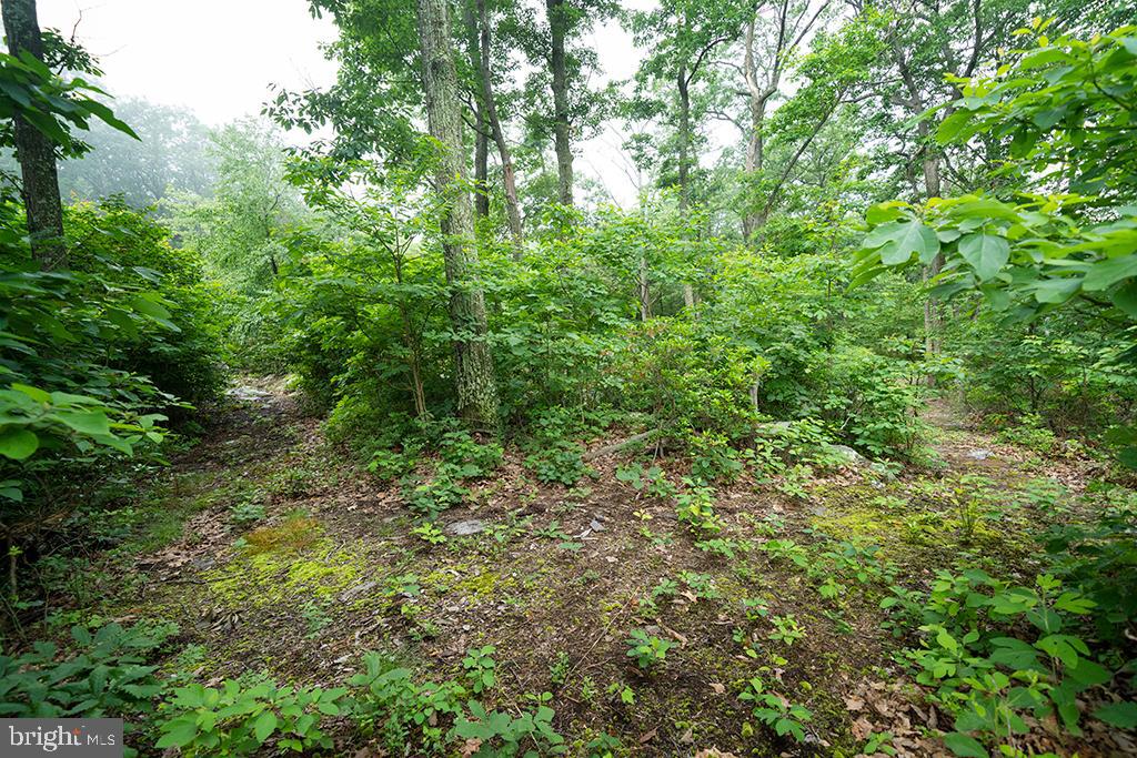 SPRUCE PINE HOLLOW - Residential