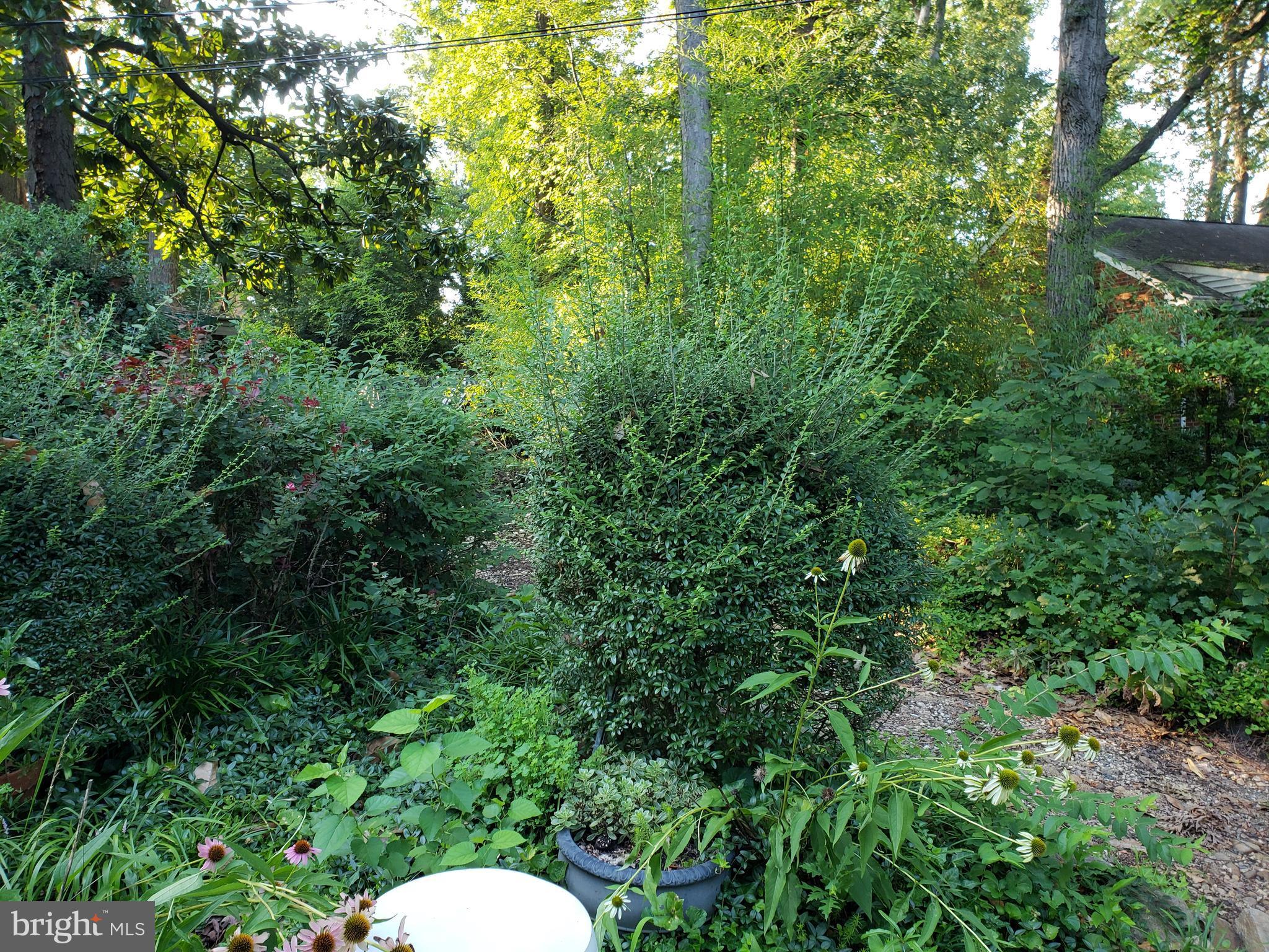 VIRGINIA HEIGHTS - Residential