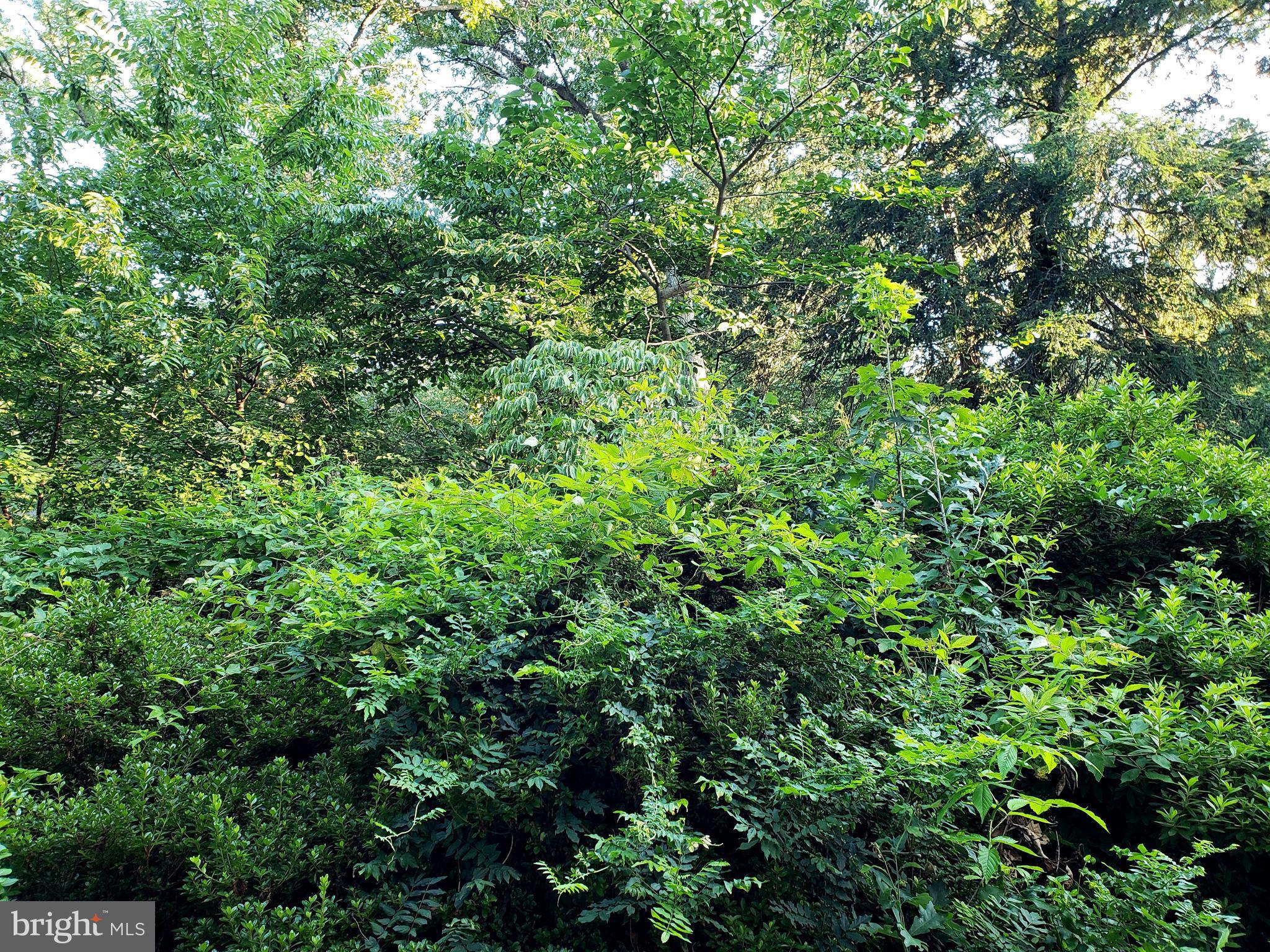 VIRGINIA HEIGHTS - Residential