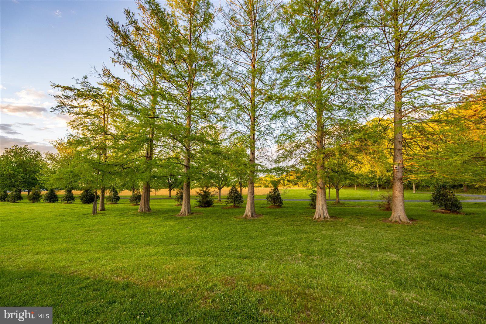 KIRWANS LANDING - Residential