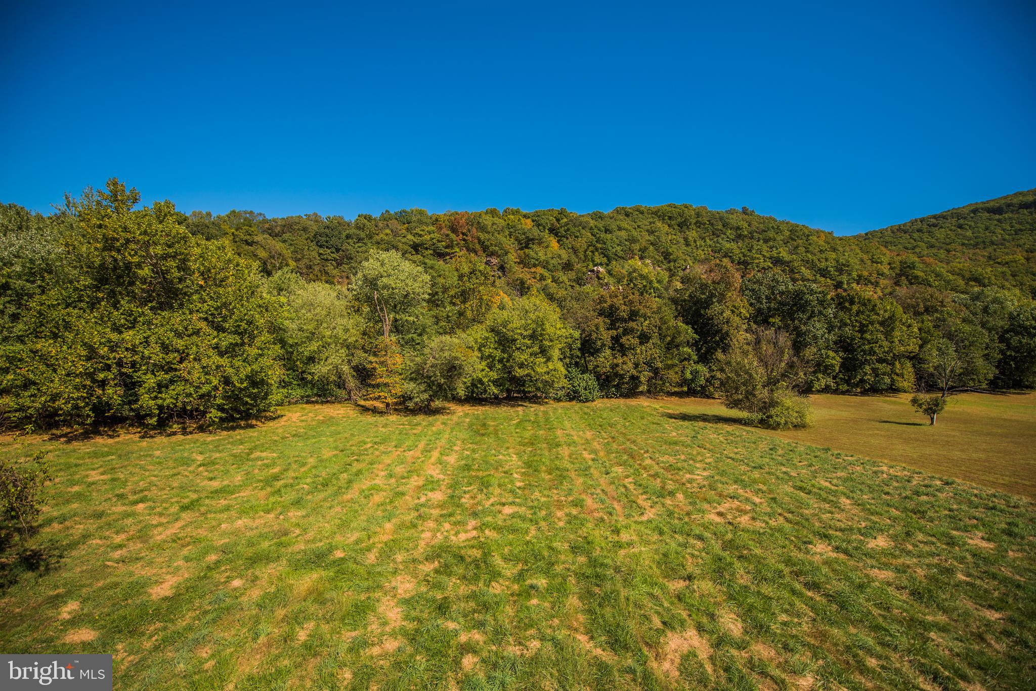 CACAPON RIVER MEADOWS - Residential