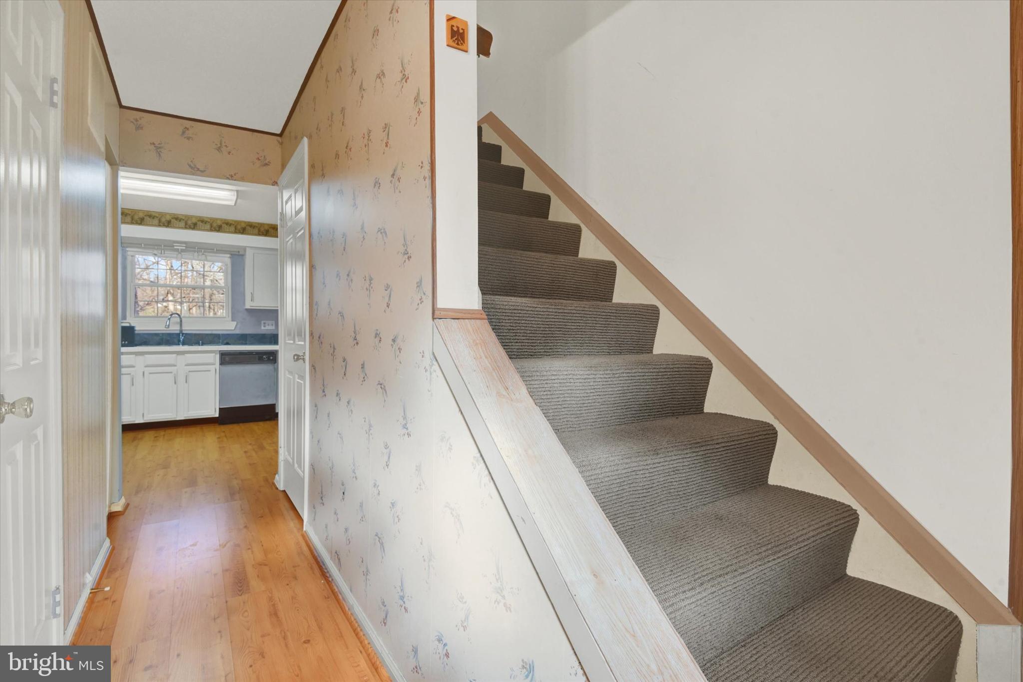 TIMONIUM - Residential